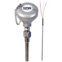 Temperature Assembly with Thermowell